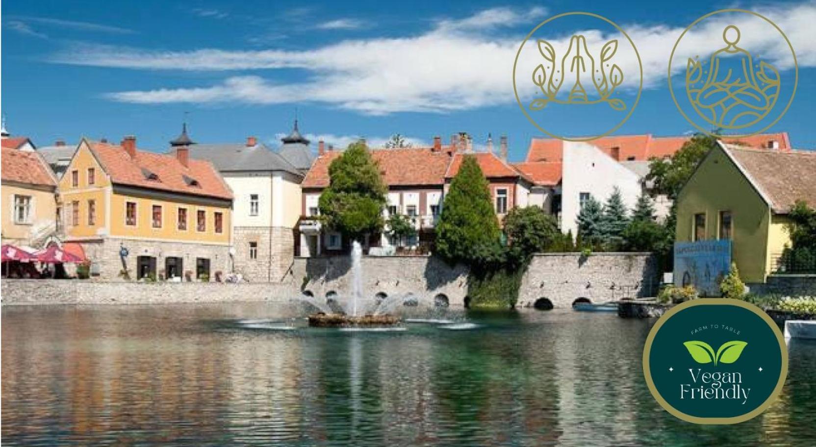 Malom-To Vendeghaz Tapolca Hotel Exterior photo